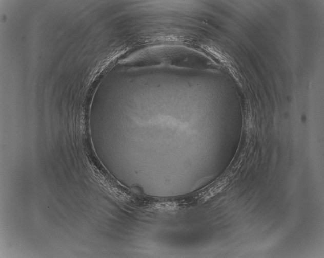 X0000067350353200604131756