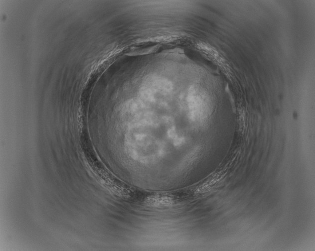 X0000067350354200604131756