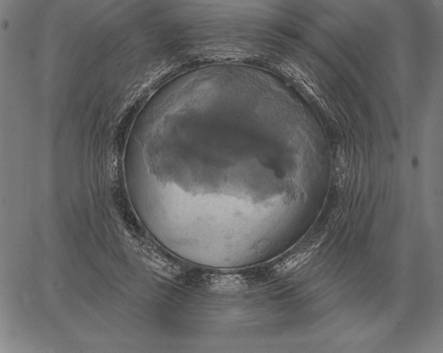 X0000067350355200604131756