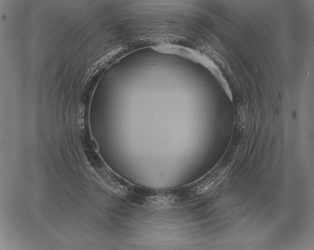 X0000067350356200604131756