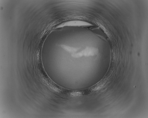 X0000067350357200604131756