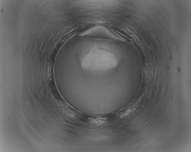 X0000067350359200604131756