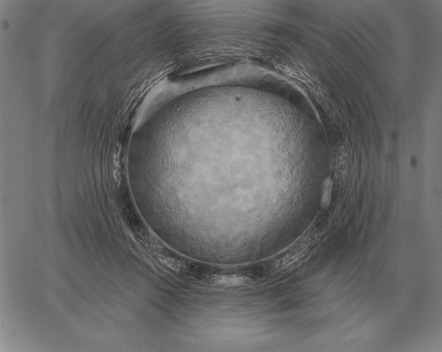 X0000067350360200604131756