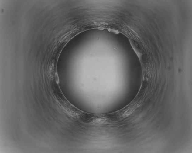 X0000067350364200604131756