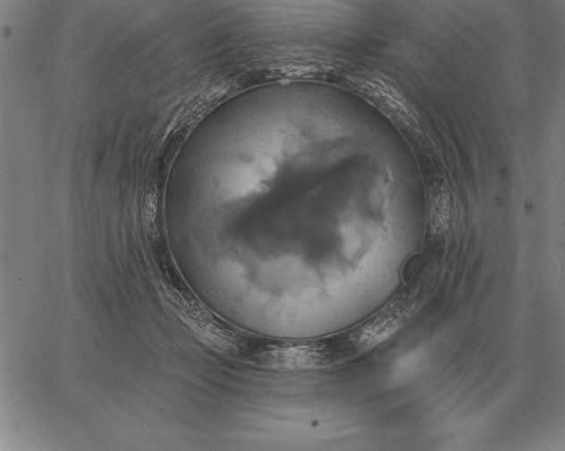 X0000067350365200604131756