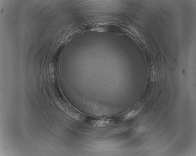 X0000067350366200604131756