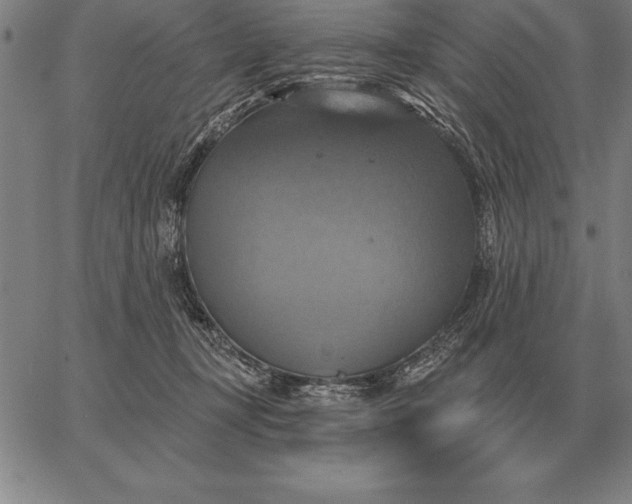 X0000067350367200604131756