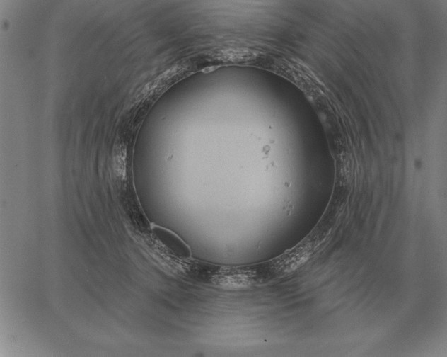 X0000067350368200604131756