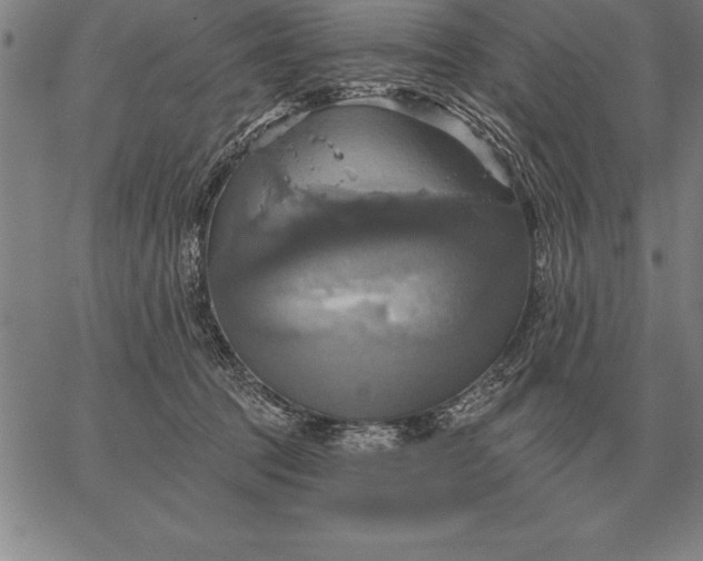 X0000067350369200604131756