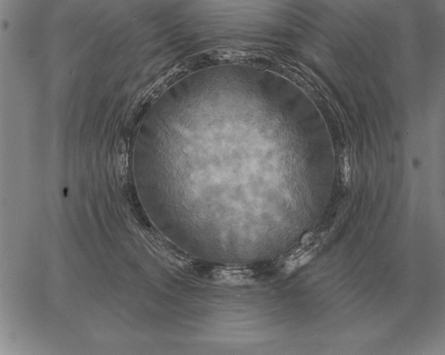 X0000067350372200604131756