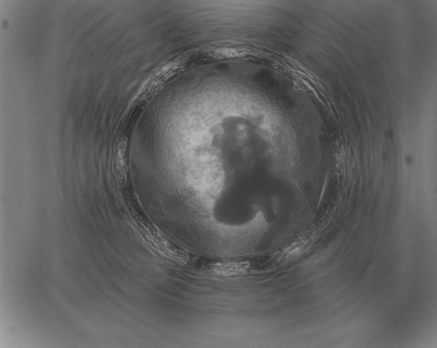 X0000067350373200604131757