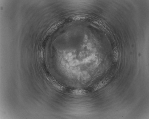 X0000067350375200604131757