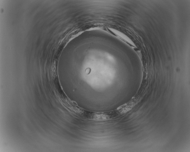 X0000067350376200604131757