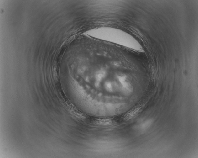 X0000067350377200604131757