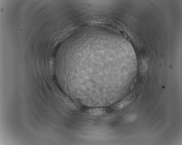 X0000067350378200604131757