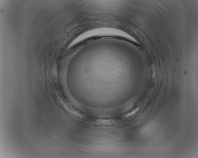 X0000067350380200604131757