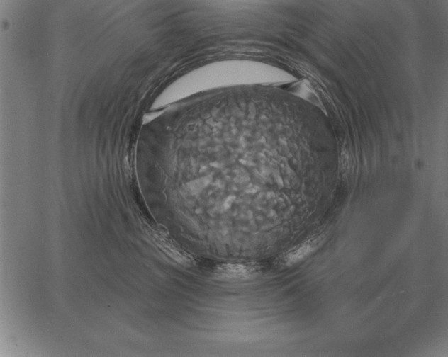 X0000067350381200604131757