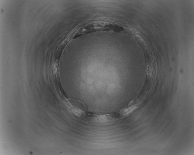 X0000067350382200604131757