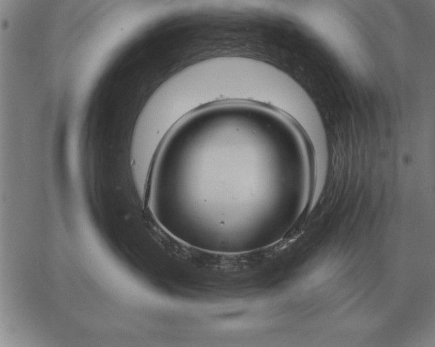 X0000067350383200604131757