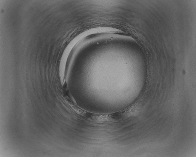 X0000067350384200604131757