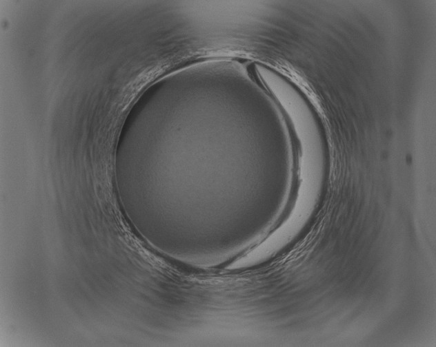 X0000067350385200604131756