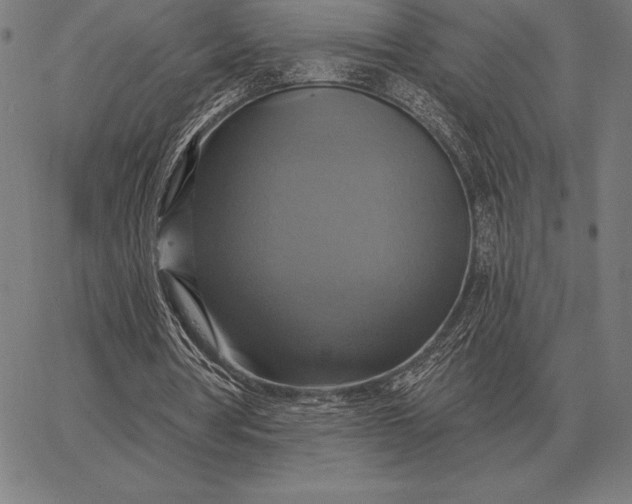 X0000067350386200604131756