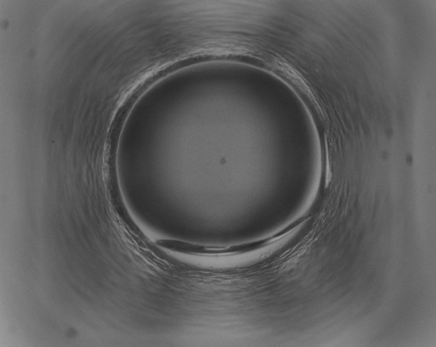 X0000067350387200604131756