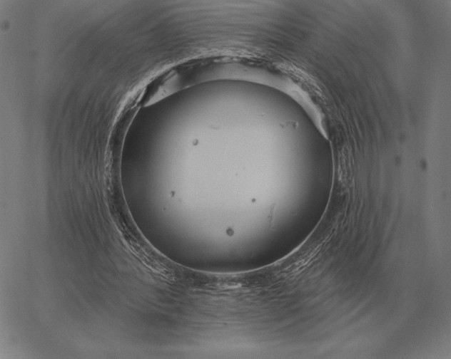 X0000067350388200604131756