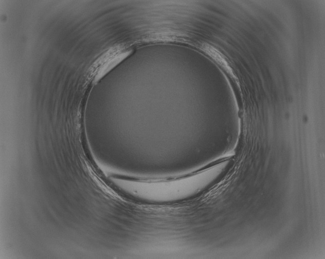 X0000067350389200604131756