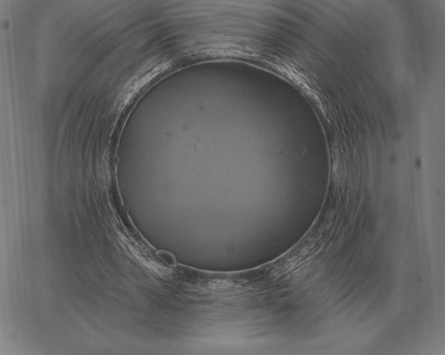 X0000067350390200604131756