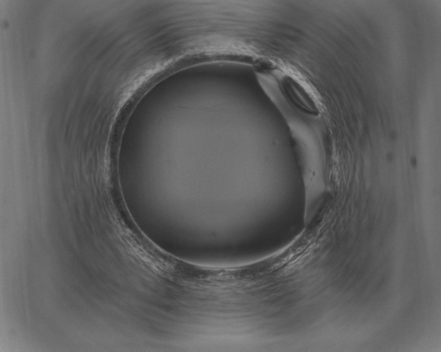 X0000067350391200604131756