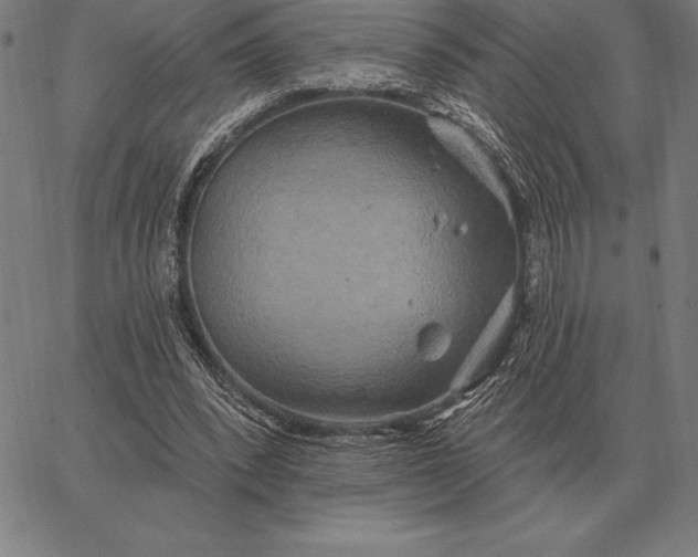 X0000067350392200604131756