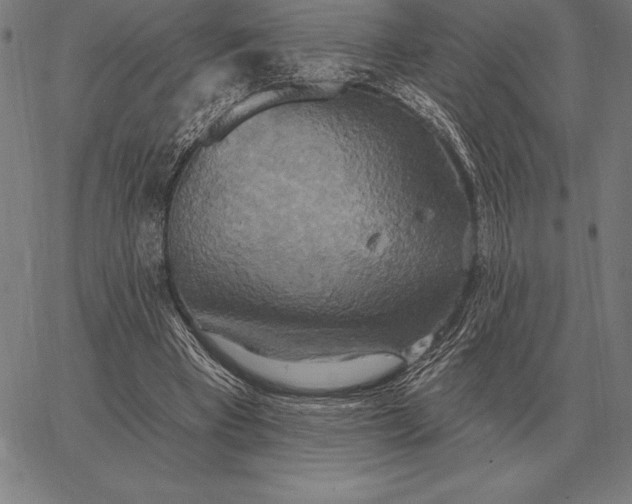 X0000067350393200604131756