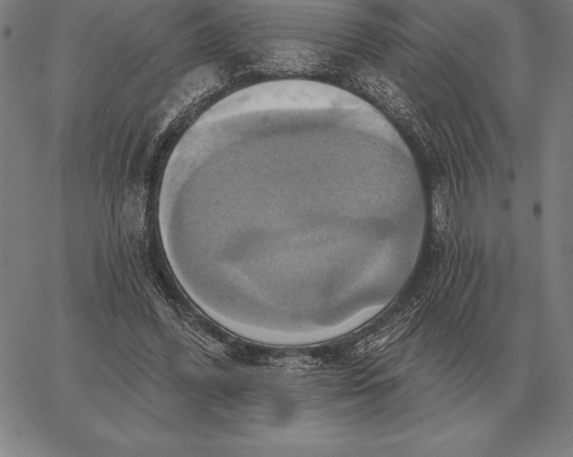 X0000067350396200604131756