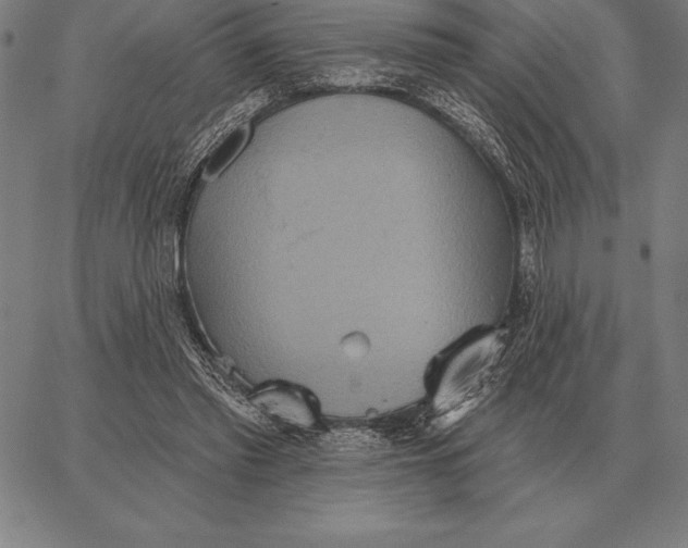 X0000067350397200604131756