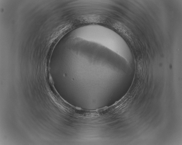 X0000067350398200604131756