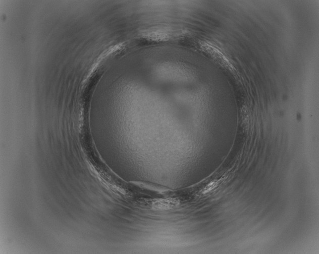 X0000067350400200604131756