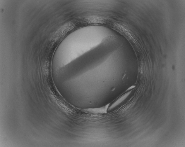 X0000067350402200604131756