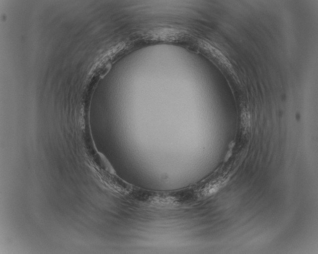 X0000067350403200604131756