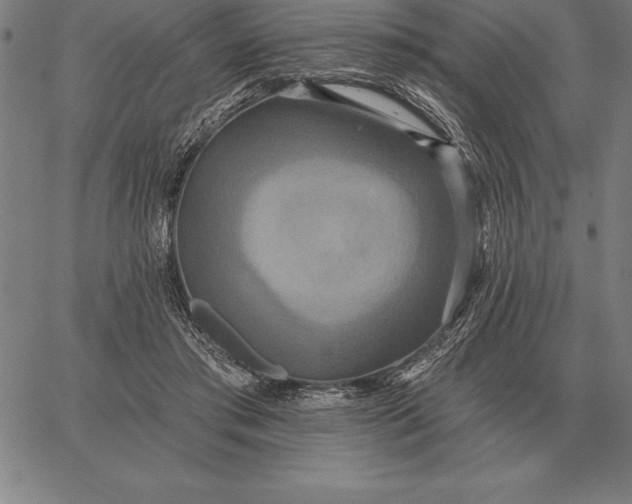 X0000067350405200604131756