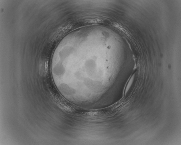 X0000067350406200604131756