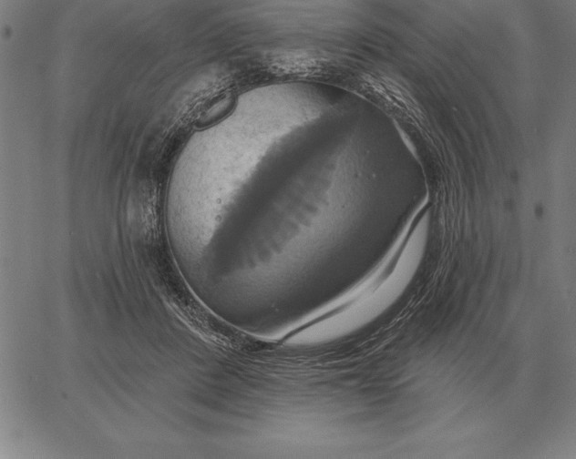 X0000067350408200604131756