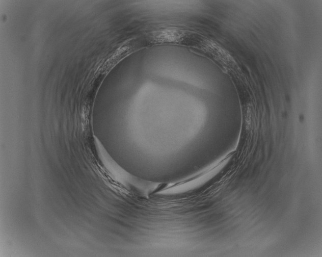 X0000067350409200604131756