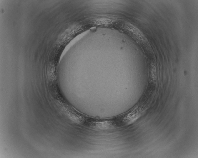 X0000067350411200604131755