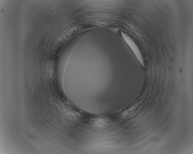 X0000067350412200604131755