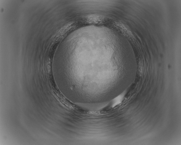 X0000067350413200604131755