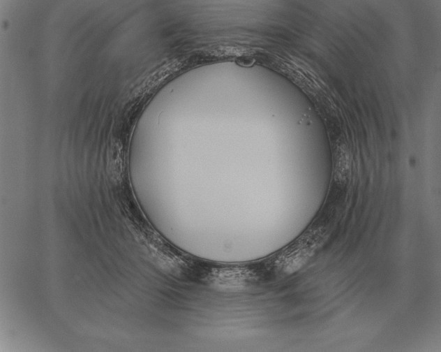 X0000067350414200604131755