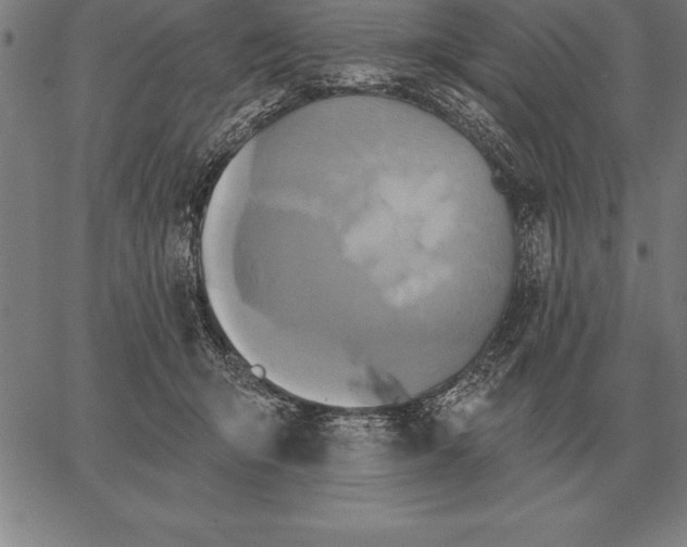 X0000067350415200604131755