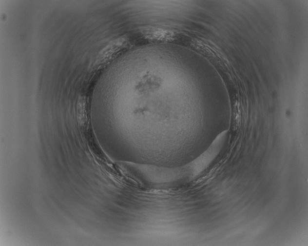 X0000067350416200604131755