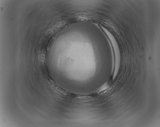 X0000067350417200604131755